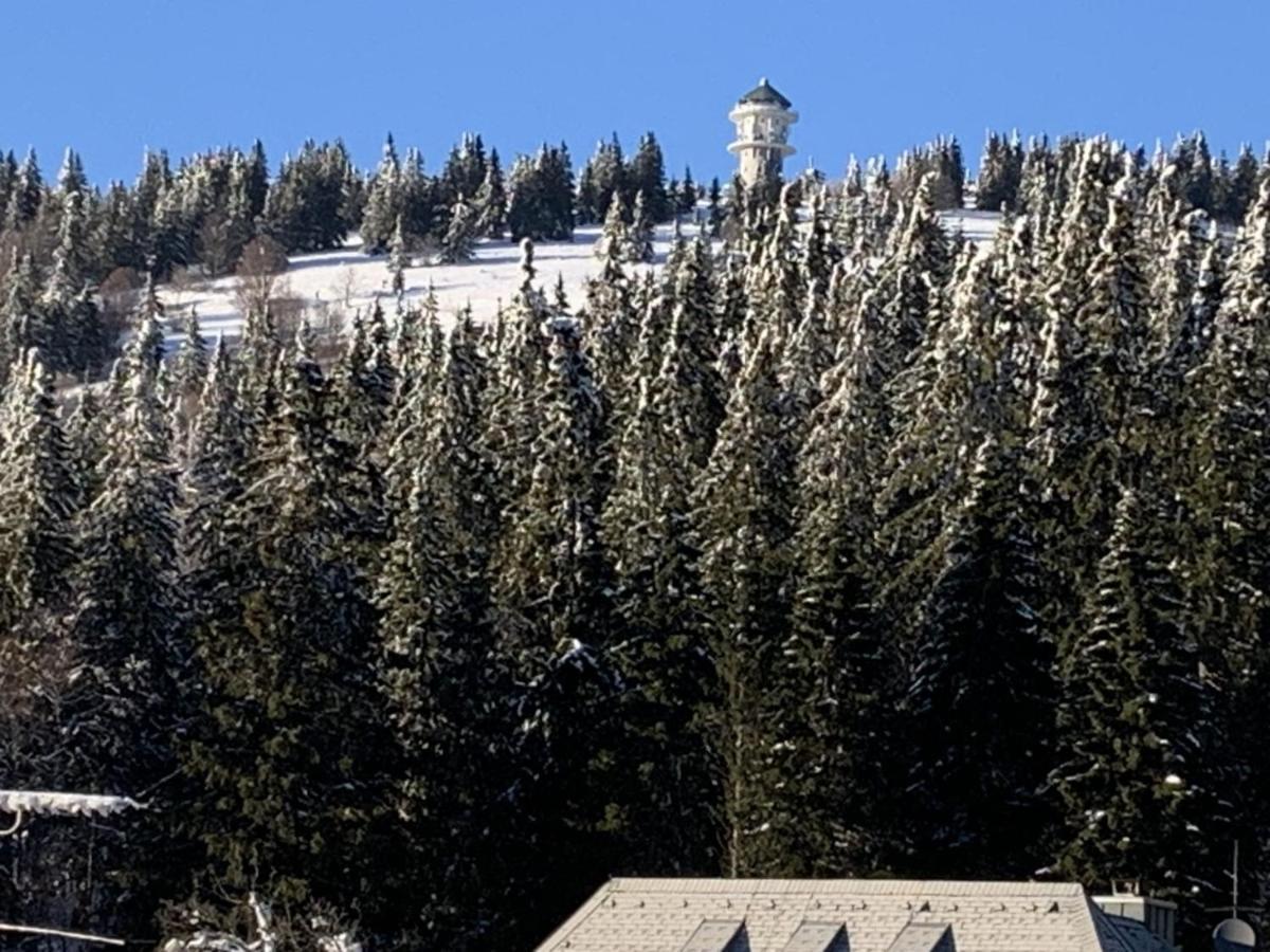 H&P Touristik Residenz Grafenmatt Gra-3-1 Appartement Feldberg  Buitenkant foto